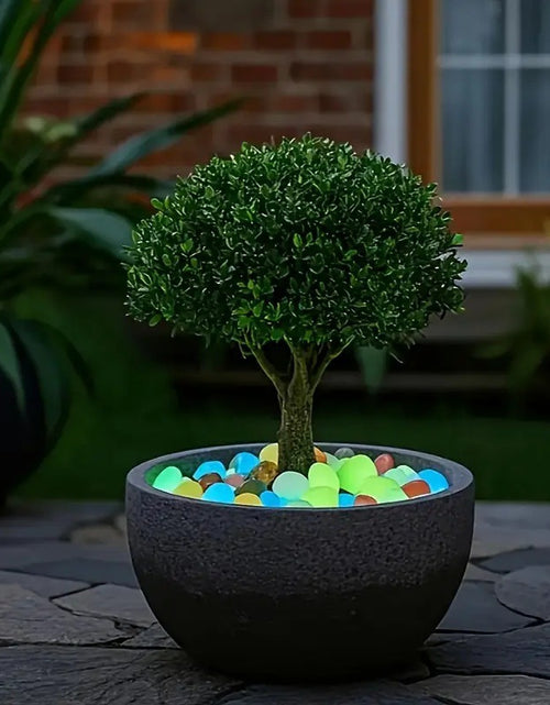 Load image into Gallery viewer, Extra Large Luminous Stones For Aquarium Landscaping
