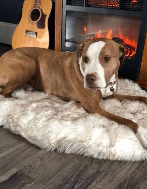 Load image into Gallery viewer, Pet dog plush mat beige mat pet dog rest
